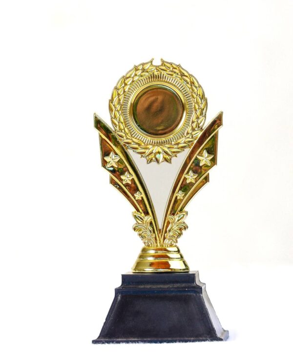 Gold Star Achievement Trophy